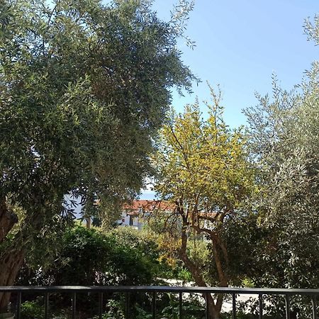Greekowl Apartments Skiathos Town Bagian luar foto