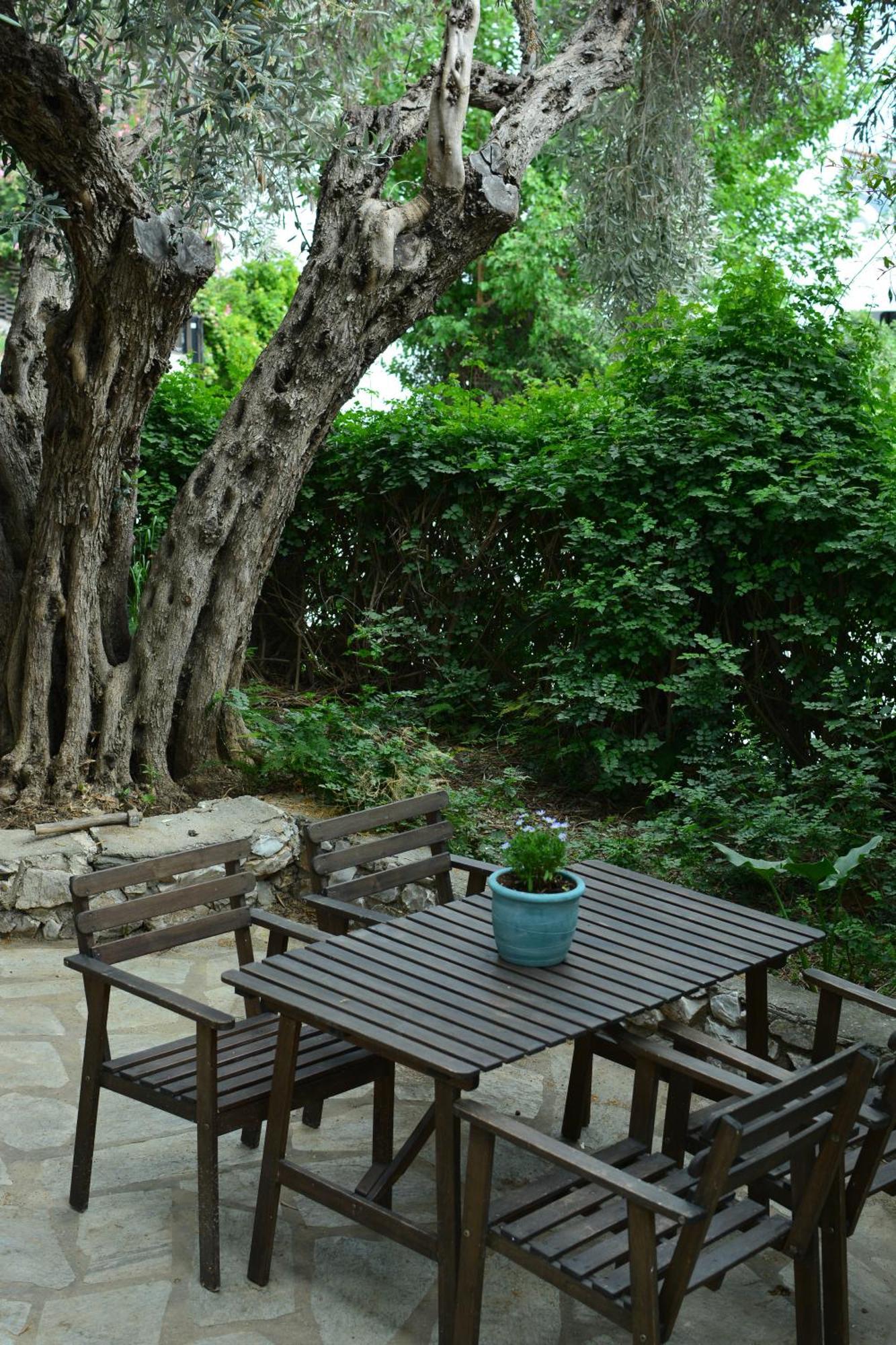Greekowl Apartments Skiathos Town Bagian luar foto